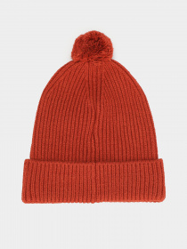 Шапка The North Face Logo Box Pom модель NF0A3FN3UBC1 Фото