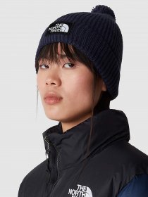 Шапка The North Face Logo Box модель NF0A3FN38K21 Фото