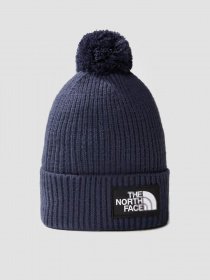 Шапка The North Face Logo Box модель NF0A3FN38K21 Фото