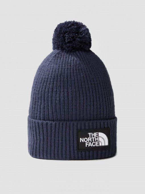 Шапка The North Face Logo Box модель NF0A3FN38K21 Фото