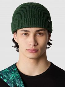 Шапка The North Face Fisherman Beanie модель NF0A55JGI0P1 Фото