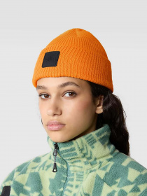 Шапка The North Face Logo Box модель NF0A55KCI0M1 Фото