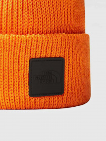 Шапка The North Face Logo Box модель NF0A55KCI0M1 Фото