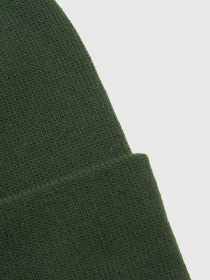 Шапка The North Face Norm модель NF0A5FW1I0P1 Фото