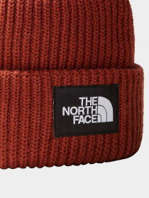 Шапка The North Face Salty Dog Beanie модель NF0A3FJWUBC1 Фото