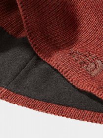 Шапка The North Face Bones Recycled Beanie модель NF0A3FNSVBZ1 Фото