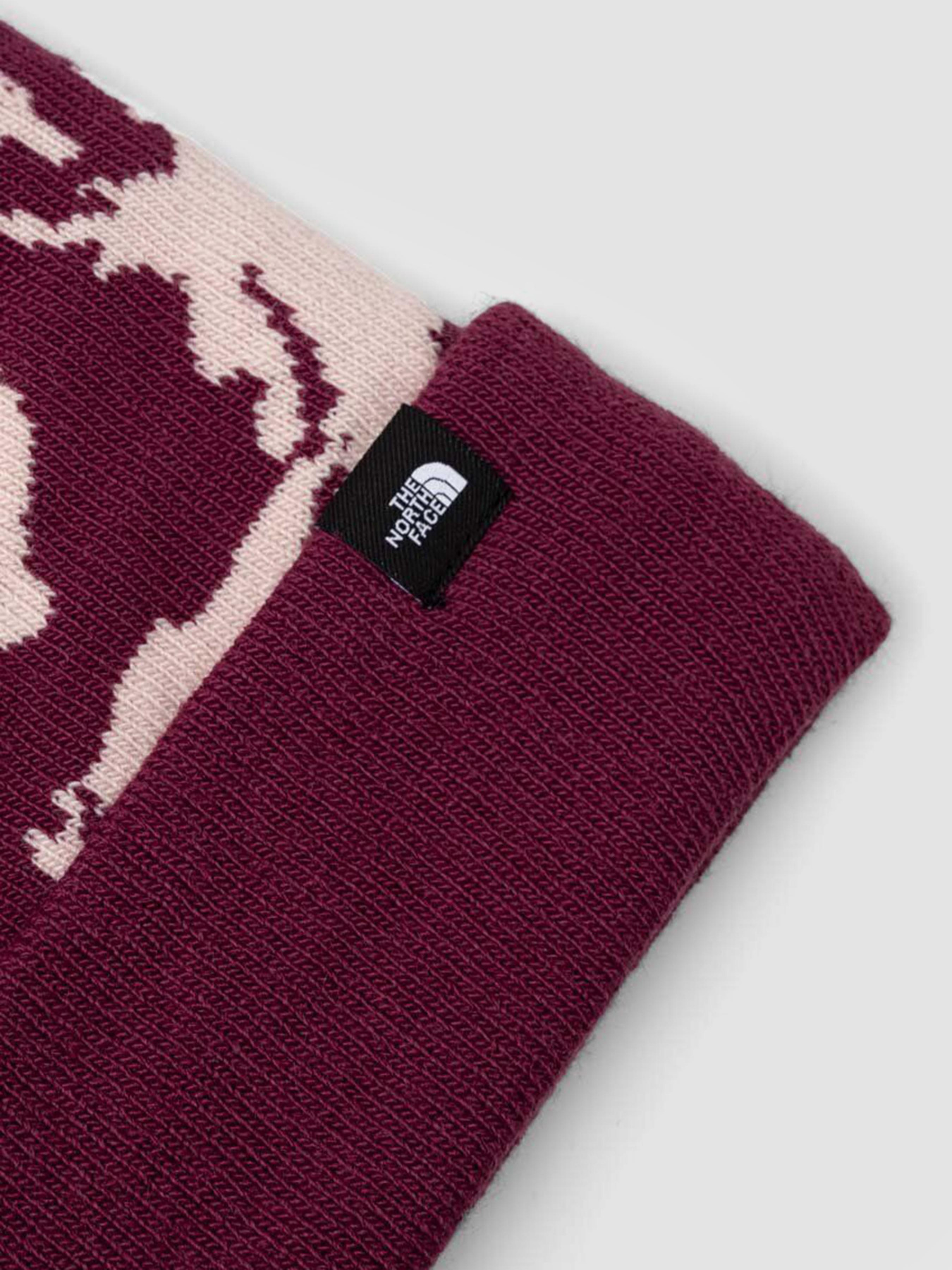 Шапка The North Face Ski Tuke модель NF0A4SIEK6I1 Фото