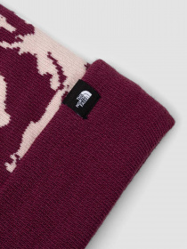 Шапка The North Face Ski Tuke модель NF0A4SIEK6I1 Фото