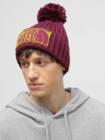 Шапка The North Face Heritage Ski Tuke модель NF0A7WJOLJI1 Фото