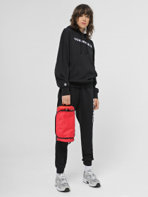 Сумка The North Face Travel Canister - L модель NF0A52TFKZ31 Фото