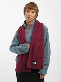 Шарф The North Face Logo Box модель NF0A7RJ2I0H1 Фото