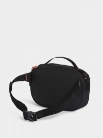 Сумка The North Face Isabella Hip модель NF0A81C4IUB1 Фото