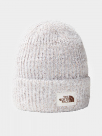 Шапка The North Face Salty Bae Lined Beanie модель NF0A7WJLI0E1 Фото