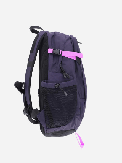 Рюкзак The North Face Hot Shot SE 30L модель NF0A3KYJYIL1 — фото 4 - INTERTOP