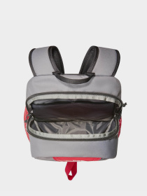 Повседневный рюкзак The North Face Y2K Daypack Forest 20L модель NF0A87GGYOE1 Фото