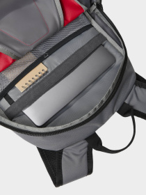 Повседневный рюкзак The North Face Y2K Daypack Forest 20L модель NF0A87GGYOE1 Фото