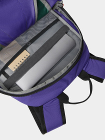 Рюкзак The North Face Y2k Daypack 20L модель NF0A87GGXO11 Фото