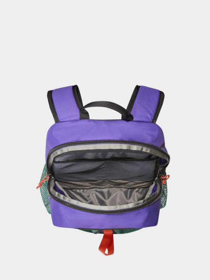 Рюкзак The North Face Y2k Daypack 20L модель NF0A87GGXO11 — фото 3 - INTERTOP