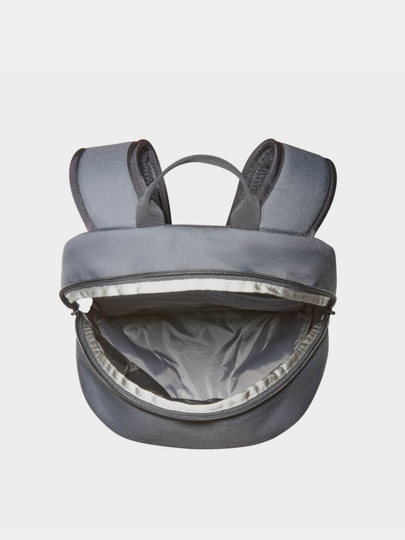 Повсякденний рюкзак The North Face Y2K Daypack Forest 20L модель NF0A87GGKT01 Фото