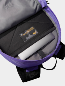 Рюкзак The North Face Borealis Classic 29L модель NF00CF9CROL1 Фото