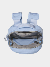 Повседневный рюкзак The North Face Borealis Mini 10L модель NF0A52SWYOF1 Фото