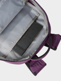 Рюкзак The North Face Borealis Mini 10L Модель NF0A52SW6NR1 Фото