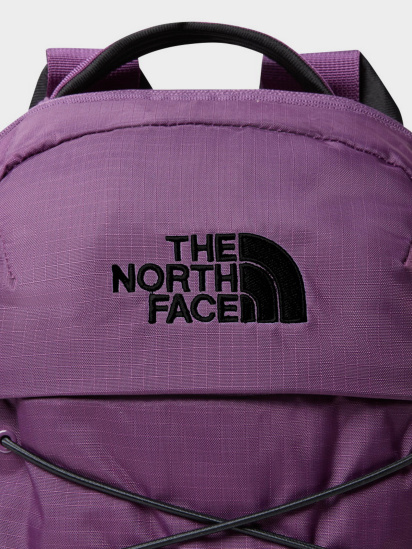 Рюкзак The North Face Borealis Mini 10L модель NF0A52SW6NR1 — фото 3 - INTERTOP