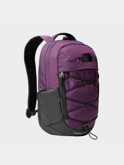 Рюкзак The North Face Borealis Mini 10L модель NF0A52SW6NR1 — фото - INTERTOP