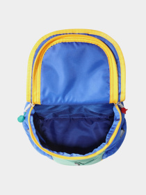 Рюкзак The North Face Youth Mini Explorer 10L Модель NF0A52VWIUD1 Фото