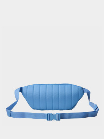Поясная сумка The North Face Berkeley Lumbar модель NF0A52VUTIV1 Фото