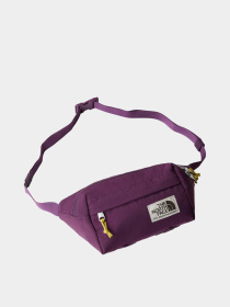 Сумка The North Face Berkeley Lumbar модель NF0A52VUTIH1 Фото