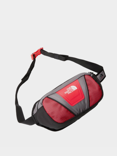 Сумка The North Face Y2K Hip Pack модель NF0A87GEYOE1 — фото 3 - INTERTOP