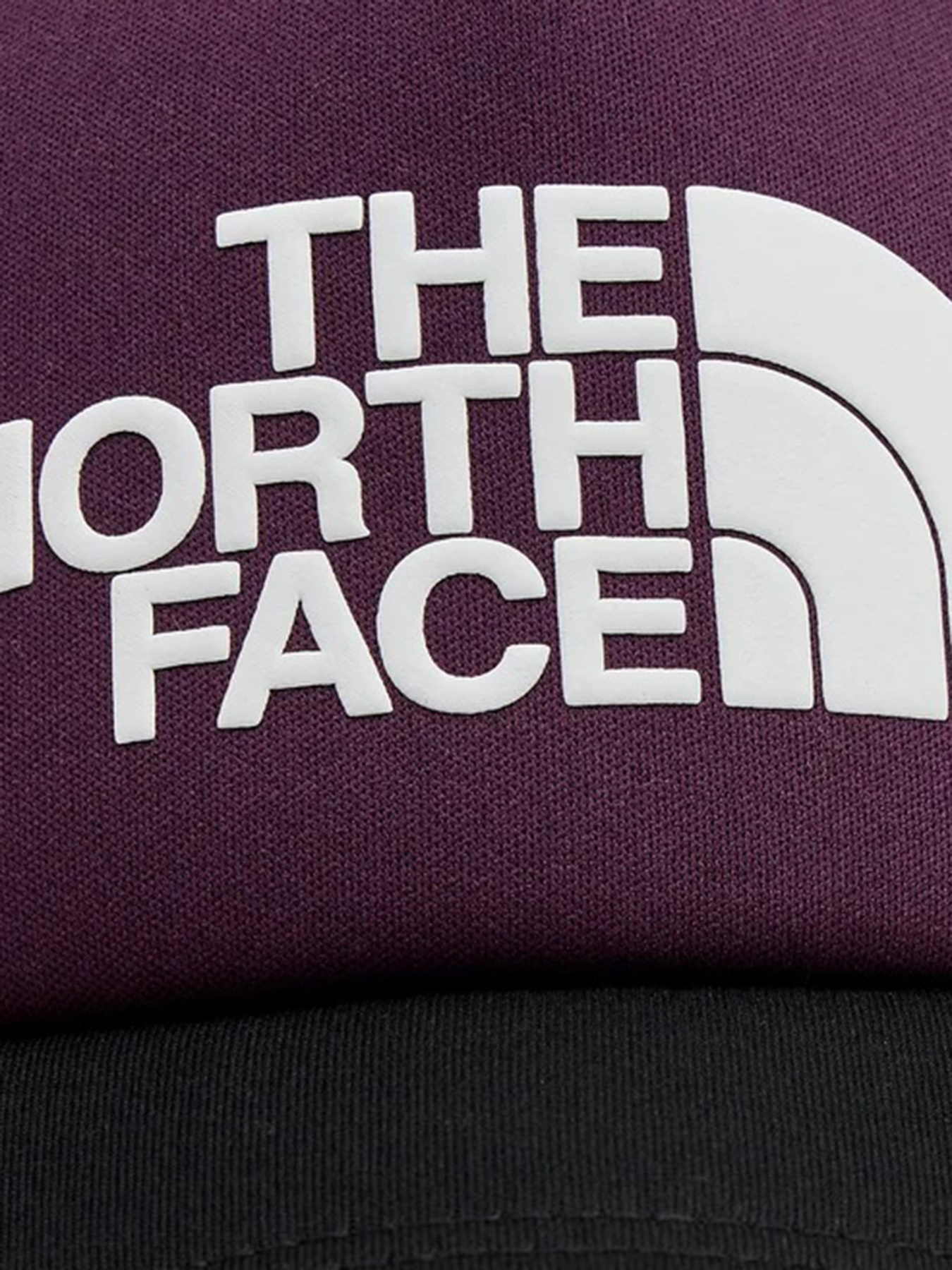 Кепка The North Face Logo Trucker модель NF0A3FM3V6V1 Фото