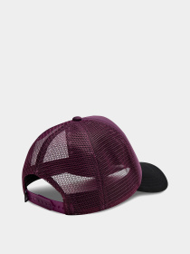 Кепка The North Face Logo Trucker модель NF0A3FM3V6V1 Фото