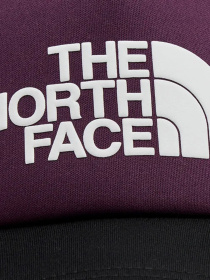 Кепка The North Face Logo Trucker модель NF0A3FM3V6V1 Фото