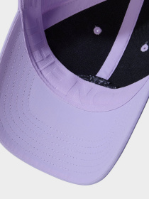 Кепка The North Face 66 Tech модель NF0A7WHCQZI1 Фото