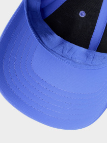 Кепка The North Face 66 Tech модель NF0A7WHCQBO1 Фото