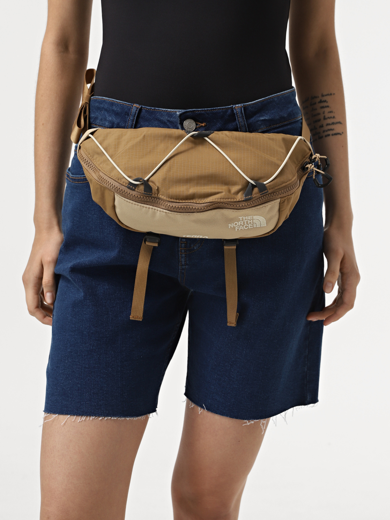 Поясная сумка The North Face Terra Lumbar 3L модель NF0A81EOWK21 Фото