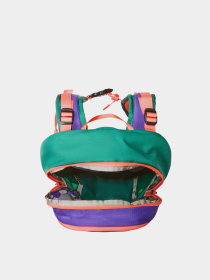 Рюкзак The North Face Basin 15L модель NF0A87SJXO11 Фото