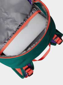 Рюкзак The North Face Basin 15L модель NF0A87SJXO11 Фото