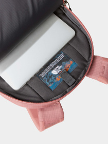 Рюкзак The North Face модель NF0A52SIYLO1 Фото