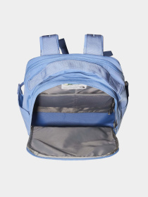 Повседневный рюкзак The North Face Berkeley Daypack модель NF0A52VQTIV1 Фото