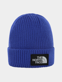 Шапка The North Face Logo Box Cuffed модель NF0A3FJXCZ61 Фото