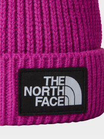 Шапка The North Face Logo Box Cuffed модель NF0A3FJX1I71 Фото