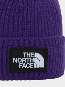 Шапка The North Face Logo Box Cuffed модель NF0A3FJXNL41 Фото