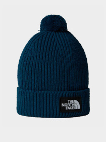 Шапка The North Face Logo Box модель NF0A3FN31NO1 Фото