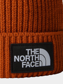 Шапка The North Face Logo Box Pom Модель NF0A3FN31I01 Фото