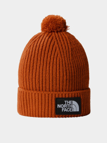 Шапка The North Face Logo Box Pom Модель NF0A3FN31I01 Фото