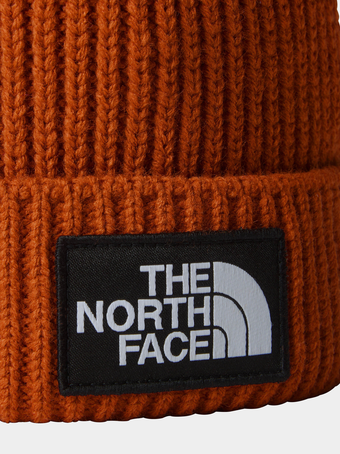 Шапка The North Face Logo Box Pom модель NF0A3FN31I01 Фото