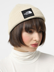 Шапка The North Face Explore модель NF0A55KC4D51 Шапка The North Face Explore модель NF0A55KC4D51 Фото